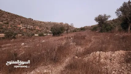  6 كوبر / ارض للبيع