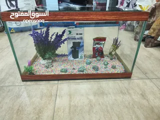  5 للبيع حوض سمك مجهز بالكامل! حوض أنيق بتصميم عصري، يحتوي فلتر .احجار ، صدف، انارة لد، عشب كامل