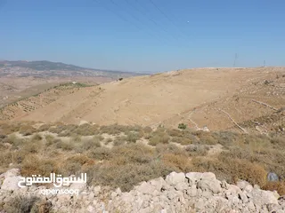  2 أجمل اطلالات جلعد-قوشان مستقل
