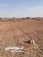  4 الجيزة ارض 6 دونم قرب المطار