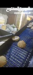  12 خط آلي كامل