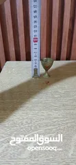  4 فازات قزاز 6/و3نحاس