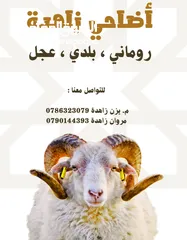  1 ملحمة مروان زاهده