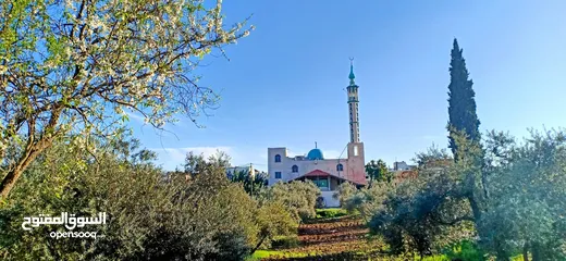  1 قطعة أرض للبيع