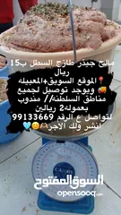  1 مالح جيذر طازج