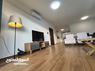  14 شقة جديدة مفروشة مع حديقة للإيجار – عين منجد  شارع إسكان المهندسين