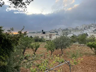  4 أرض مميزة للبيع في أبو كتيلة جاهزة للاستثمار