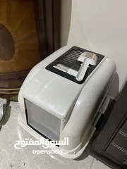  6 قطة هيمالايا