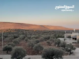  2 ارض البيع موقع ممتاز