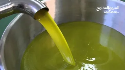  1 زيت زيتون للبيع نخب اول مكفـــوول كـفـاله حقيقيه