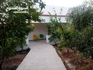  9 بيت مستقل طابقين