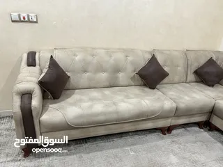  4 تخم ديوان عشره مقاعد