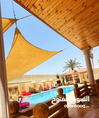  9 شاليه مزرعة ايجار ترفيه ىحل شواء سباحة