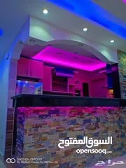  6 شقة مفروشة في مصر الجديدة ايجار يومي وشهري فندقية هادية وامان شبابية وعائلات مكيفة
