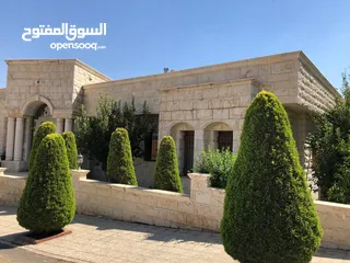  4 فيلا مفروشه للايجار في عبدون ( Property 40254 )-175089630