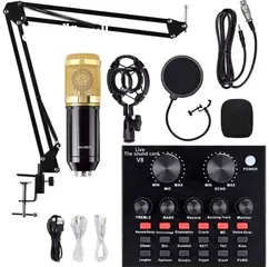  2 CONDENSER MICROPHONE With Patented Audio Reference Companding