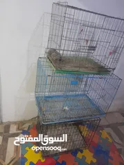  2 قفاص قطط او كلاب او طيور للبيع او البدل