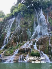  1 مترجمه فی ایران