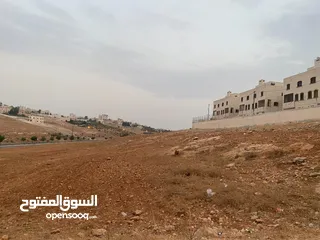  3 ارض للبيع في شفا بدران حوض المقرن