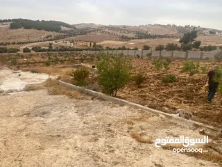 19 قفقفا 13 دنم منطقة مزارع وشاليهات وطبيعة خلابة مسيجة جدار حجر