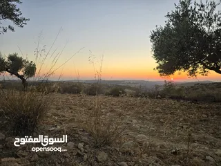  3 ارض بمساحه 3 دنم بكوبر اطلاله غربيه للأبد اوول كوبر  بالقرب من المسجد الكبير كوشان