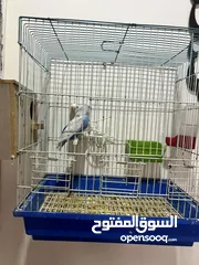  3 جوز كوكتيل +جوز حب