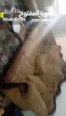  7 طقم كنب مستعمل للبيع