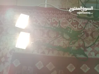  8 اثنين كشاف  بحالي جيدة استعمال خفيف جدان