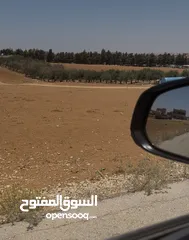  7 قطعة ارض زراعي وتصلح سكني داخل التنظيم قوشان مستقل مساحه 7557 متر مربع في مأدبا (ذيبان) واجهة 32 متر