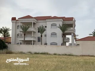  26 معاذ السعدون لكافة اعمال القرميد والديكور  أكواخ خشبية مظلات خشبية وكافة اعمال صيانة الكرميد