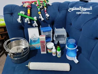  1 اغراض ببغاء