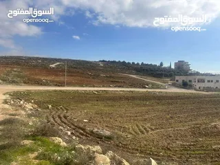  4 ارض للبيع في اجمل مناطق ناعور