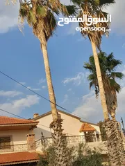  8 مزرعة للبيع