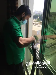  20 Bibi cleaning