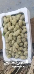  3 يرجد توت ابيض اسود تركي