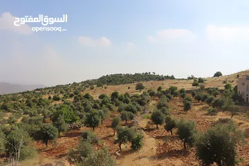  21 قصر فاخر مع خزان ماء كبير و أرض مطلة يصلح فندق ومطعم ومنتجع سياحي أو منزل لعظيم قرب التلفريك