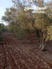  4 اعلان عن ارض