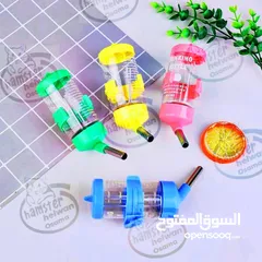  2 هامسترةعجله وسقايه