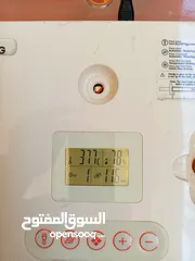  3 فقصات بحال الوكالة للبيع بيتو 2  وفقصتين  EGG 2