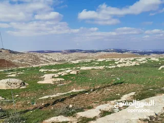  5 ارض سكنية استثمارية  للبيع  تنظيم سكن أ بمساحة 915 م طريق الجامعة الالمانية _ ناعور _ حسبان