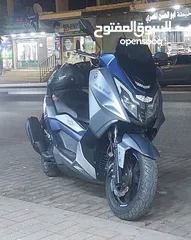  2 سكوتر اندكس /هورنت