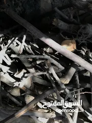  8 حطب زيتون ولوز يابس درجة أولى متين وسميك مثالي للتعبئة والشوي ومتوفر بكميات وبتسعيرة منافسة