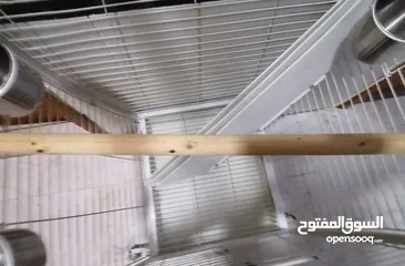  4 Parrot cage