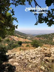  13 فرصة استثمارية! أرض زراعية مميزة بسعر مغري و بالقرب من أحراش الدولة للمزيد من المعلومات اقرأ الوصف