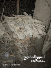  23 تشكيلة حطب للبيع