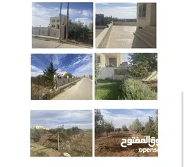  1 ارض وفيلا مناسبه للاستثمار فيها