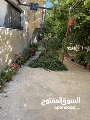  4 بنايه كامله اربع طوابق للبيع كامله بسعر مغري خلف الكارفور في اجمل مناطق مادبا