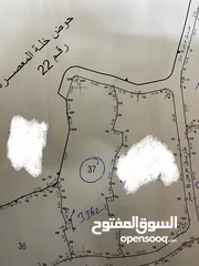 1 ارض مشجرة زيتون  كوشان مستقل  قريبة من الخدمات  على شارعين تبعد عن شارع رئيسي 100 فقط