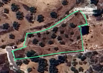  1 ارض للبيع فى عصيرة الشمالية، طابو نابلس، كوشان مستقل لخمسة اسخاص، كل شخص يضع سنسال على حصته