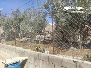  5 بيت مستقل للبيع
